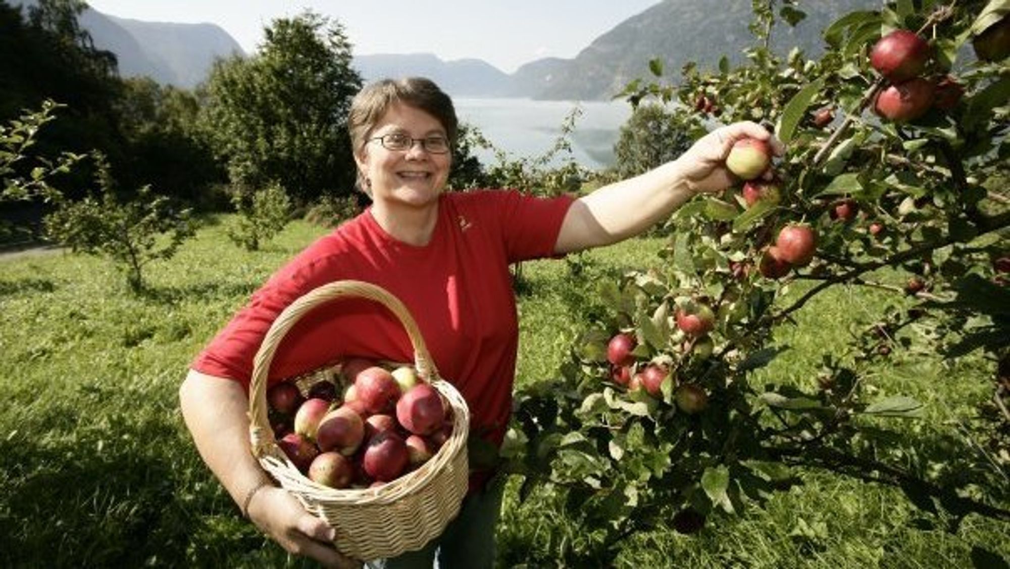 GIR SEG: Anne Lise Haukadal har drive frukt og saft-produksjon på sørsida av Lustrafjorden i mange år.