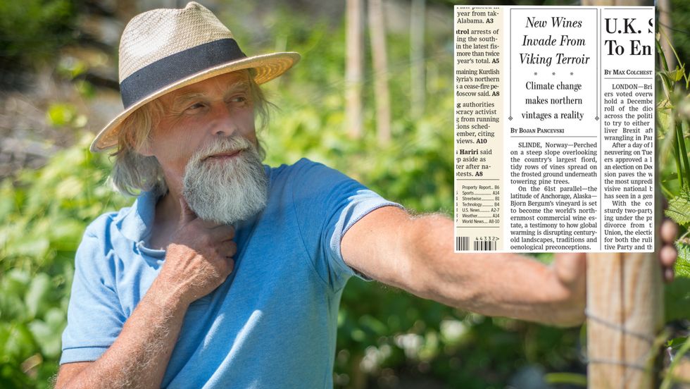 GLOBALT FENOMEN: Vinen til Bjørn Bergum på Slinde i Sogndal vekkjer merksemd verda over, no sist med framsideoppslag i Wall Street Journal.