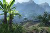 Crysis
