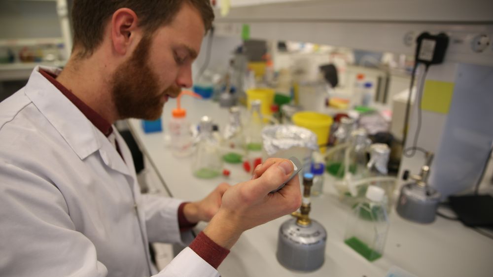 Erland Årstøl tar doktograd i bioteknologi ved NTNU. Han forsker på elektrondonasjon fra alger. Erland Årstøl. Fagfeltet er bioteknologi, temaet er alger og elektrondonasjon i fotosyntesen. Målet er at når algene får lys på seg så skal de donere elektroner til en anode og produsere strøm.