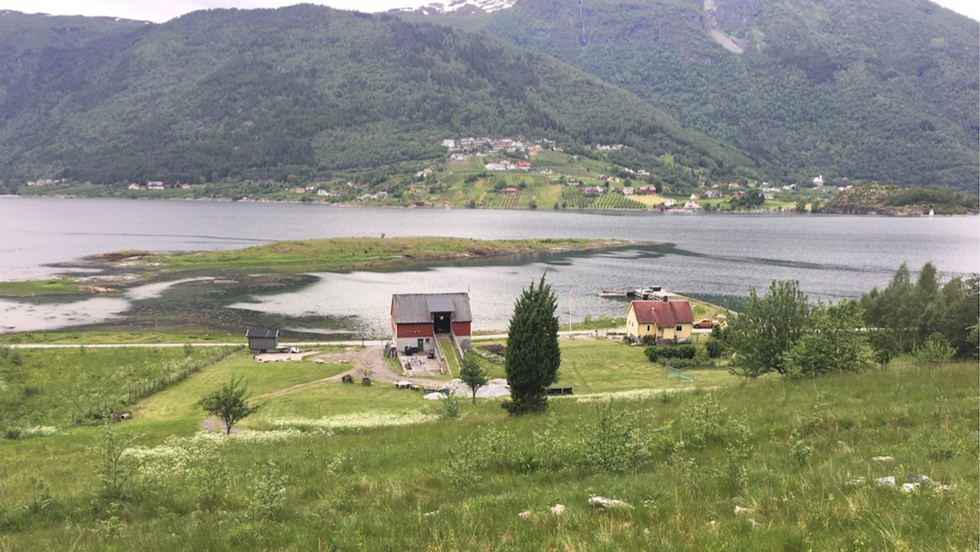 IDYLL: Hyttefeltet kjem rett over eit naturreservat, der det er ferdselsforbod i hekketida til fuglen som har koloni der. Biletet er henta frå planomtalen til Arkitektkontoret 4B.