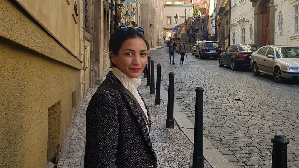 Tannaz Roshandel er utvikler ved Universitetets senter for informasjonsteknologi.