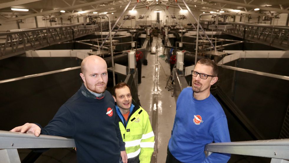 STORT: Den nye hallen til Osland settefisk er på 2500 kvadratmeter og dei tilsette er spente på å ta den i bruk over nyttår. Frå venstre: Jan Egil Nygard, Kim Andre Osland som er nytilsett som vedlikehaldsansvarleg og driftsleiar Kjetil Rørtveit.