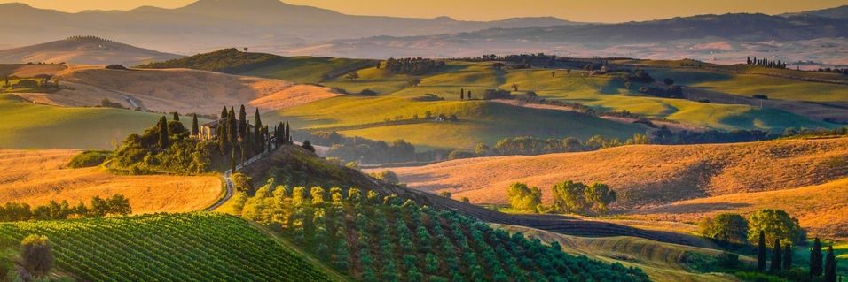 Smak det beste Toscana har å by på - fra lekre Chianti Classico til flotte Brunello di Montalcino
