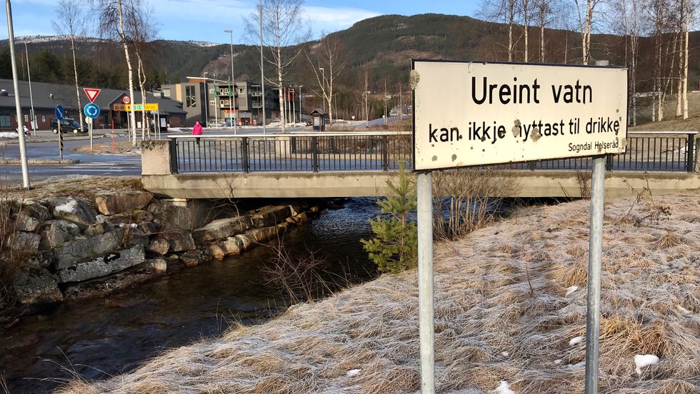 UREIN ELV: Kaupangerelvi renn forbi både jordbrukseigedomar og næringsområde, og har såleis mange potensielle kjelder til utslepp.