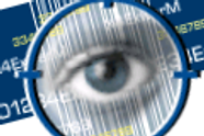 Spywaretoppen 2006