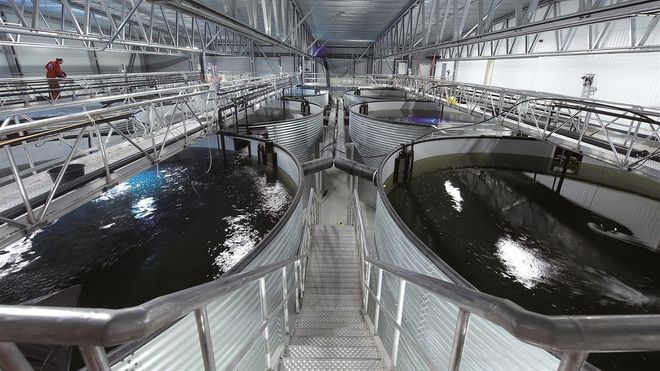 Halve ordreboka er landbaserte lakseanlegg: Venter investeringer på flere titalls milliarder