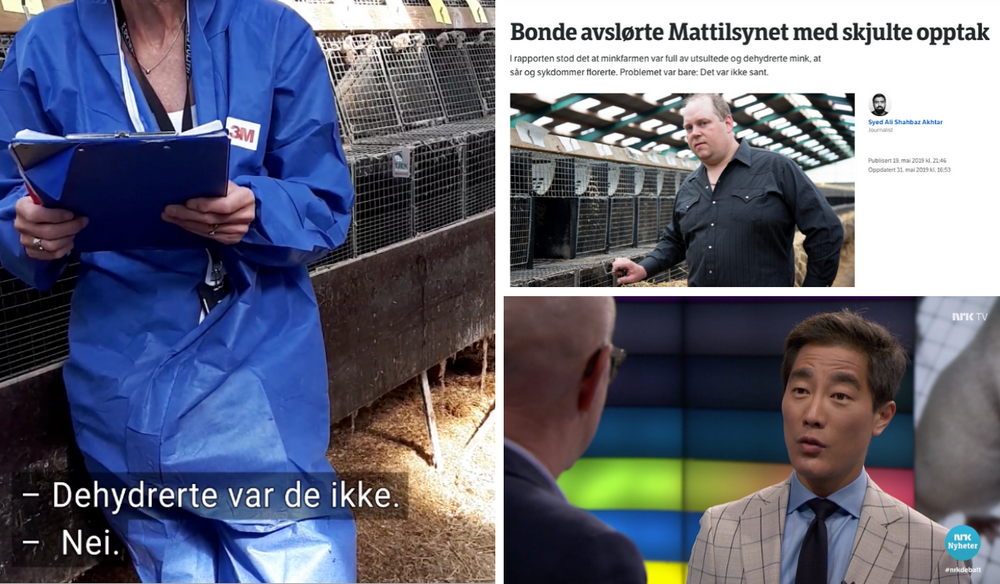 Dyrevernnemnda sin representant i møte med minkfarmbonde Per Olaf Lauvås, NRK Rogaland si Mattilsynet-avsløring og Debatten-programleiar Fredrik Solvang.