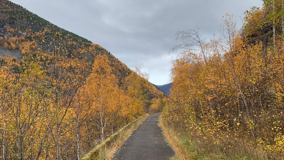 Til våren vil stien som strekk seg frå Steiggjatunellen til 50-sona på Årdalstangen, også bli lyssett.