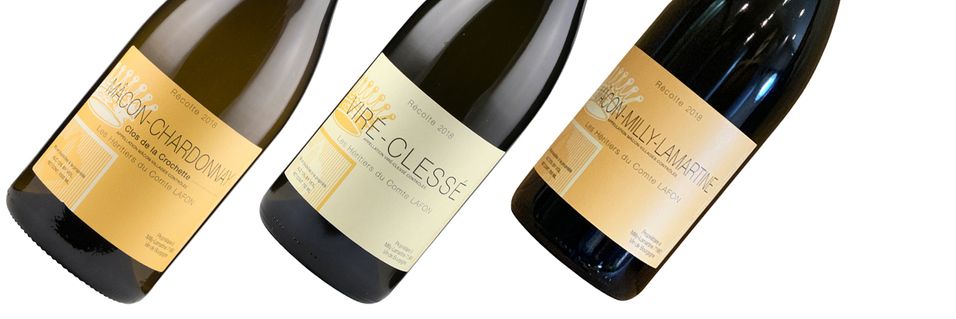 Her får du magnumflasker med lekker Burgund-chardonnay for bare litt mer enn prisen av en chablisboks