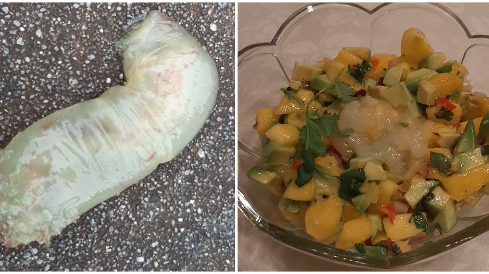 Til venstre: Ein sjøpung som journalisten fekk på fiskestang på ei brygge. Til høgre: Ein ferdig ceviche med sjøpung i.