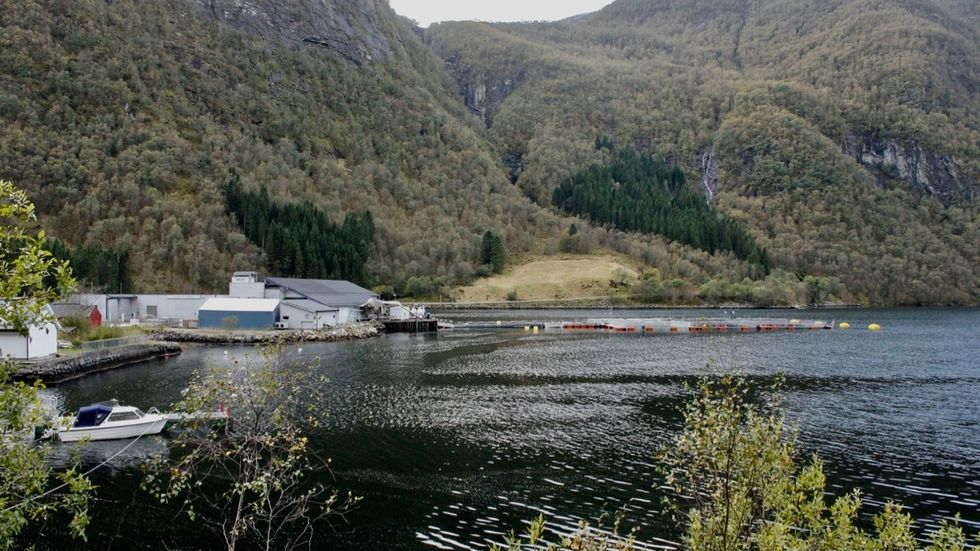 UTVIDING: Slakteriet Brekke AS vil følgje med oppdrettarane og alltid gi dei eit interessant tilbod, og vil difor utvide slakteriet.