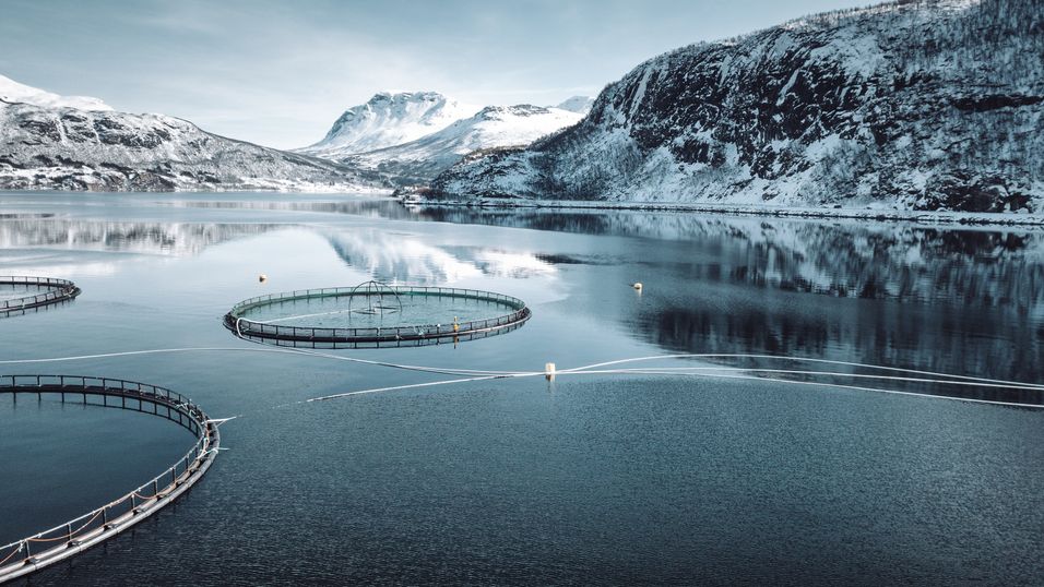 Merdene langs norskekysten fylles ikke bare med laks, men også med sensorer og blir stadig mer automatisert og fjernstyrte. Da blir pålitelig infrastruktur helt nødvendig.