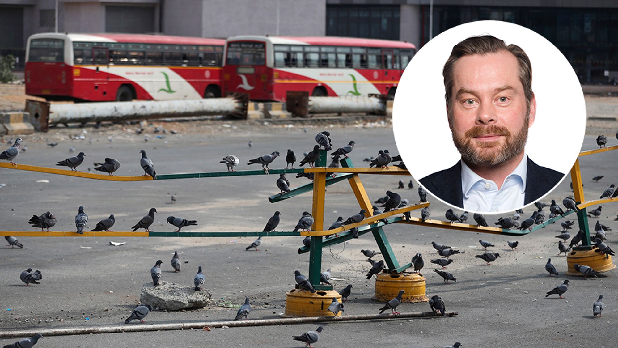 Fugler på en forlatt bussterminal i tech-storbyen Bangalore, fotografert i mai 2020. Indere flest jobber stadig hjemmefra. Tom Krohn (innfelt) er overrasket over funn i en kartlegging av hvordan nedstengningen har påvirket IT-leveransene til Norge.
