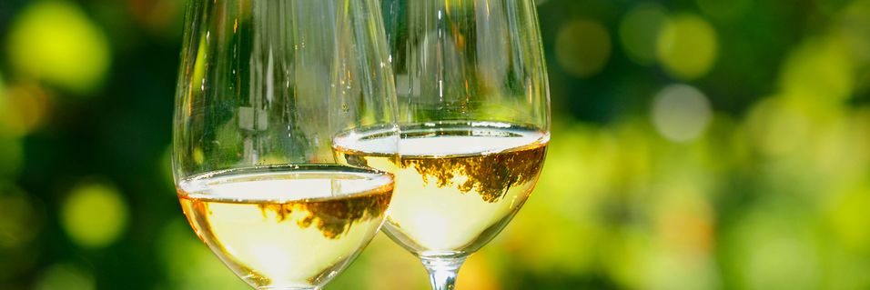 Smak 9 elegante tyske viner fra en av landets ledende vinmakere