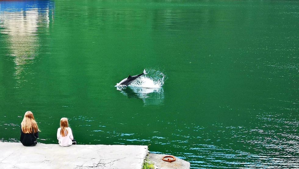 DELFIN: Sara og Emma ser på stripedelfinen som hoppar framanfor dei.