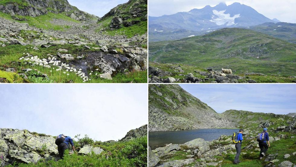 TUREN: På heile vegen opp pusta torevêr og regn dei i nakken, men då me kom på toppen løyste det seg litt opp.