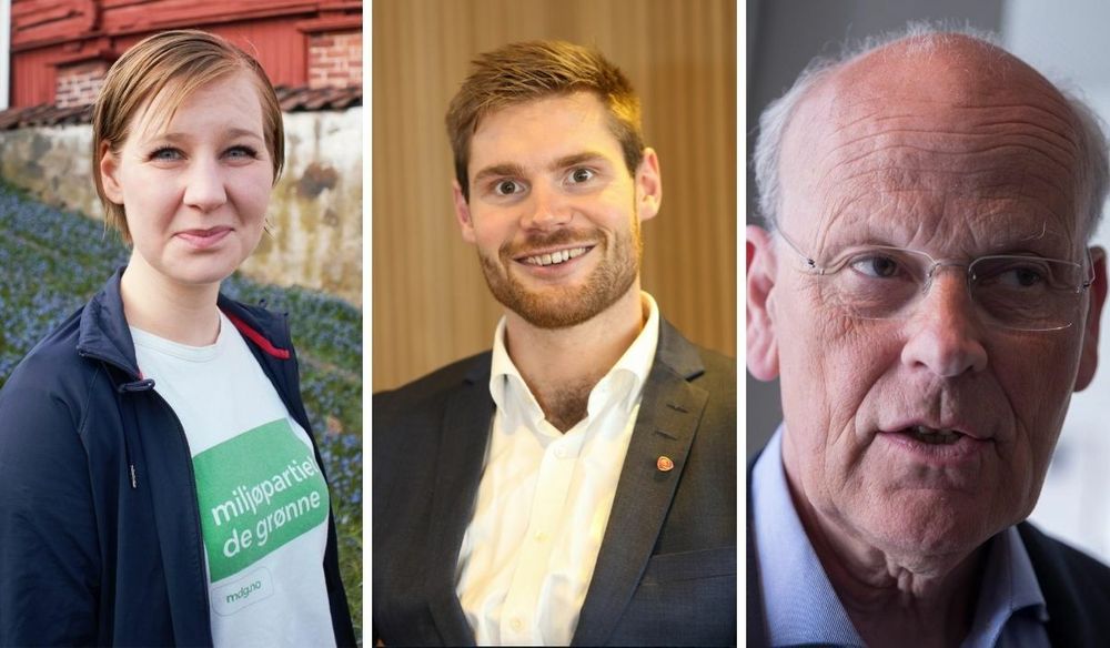 Signe Bakke Sølberg Johannessen (MDG), Nils Kristen Sandtrøen (A) og Michael Tetzschner (H).