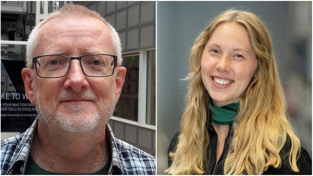 Tidligere nanoteknologi-student Karoline Sjøen anbefaler på det varmeste å skrive masteroppgaven hos en bedrift. Kjemiprofessor Truls Norby er noe mer skeptisk.