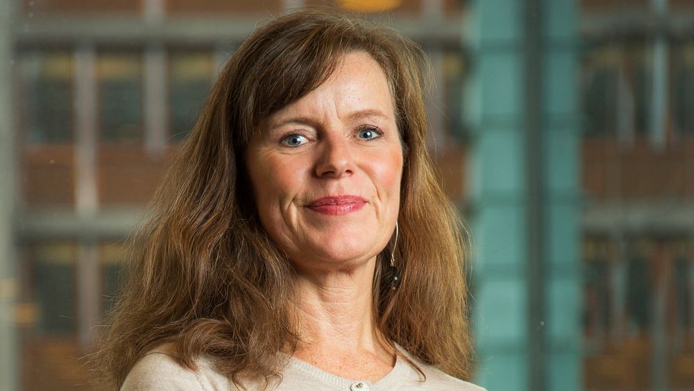 Advokat og direktør for arbeidsrett og HMS i Abelia, Birgit Abrahamsen.