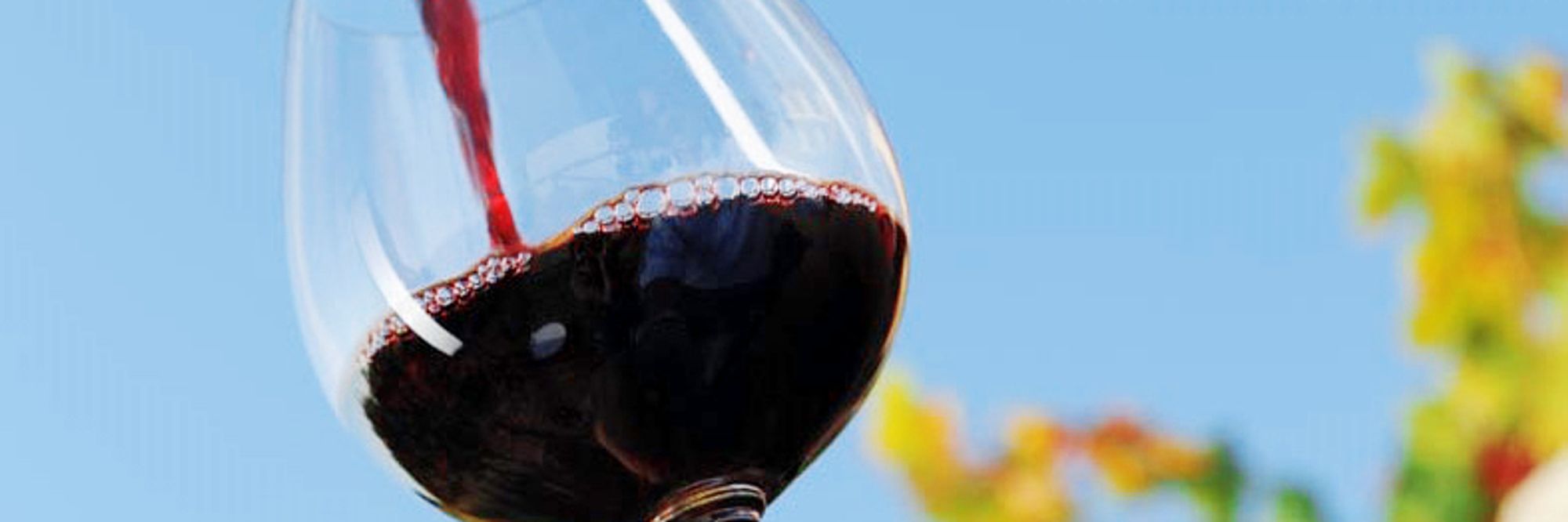 Eksklusiv smaking med praktfulle toppviner fra Piemonte - blant annet en barolo fra 1999