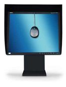 Nec SpectraView Reference 21