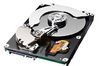 Samsung SpinPoint P120 250 GB S-ATA