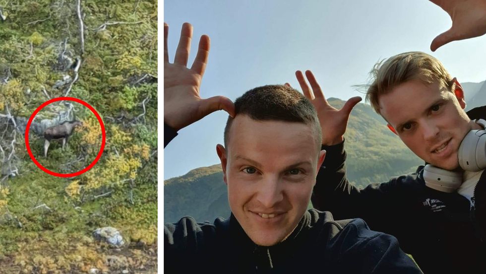 LEIKE ELG: Etter observasjonen ville brødrene Andreas (til venstre) og Thomas Dyrrdal leike elg når dei sendte bilde til avisa.
