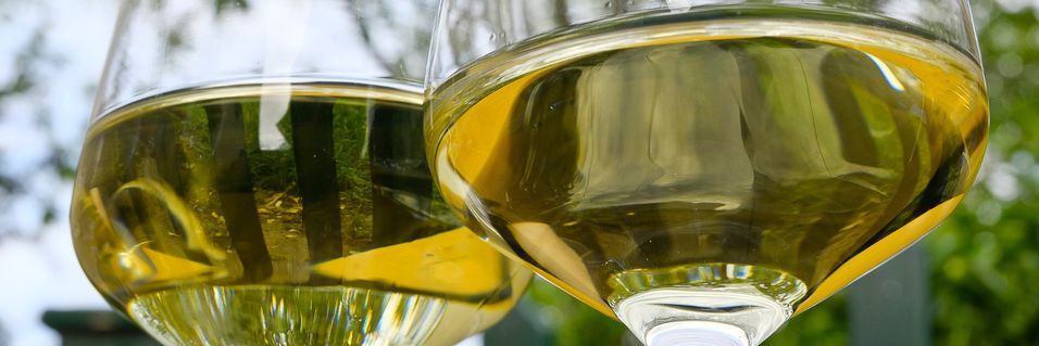 Smak fantastiske rieslinger fra en av Rheinhessens mest geniale produsenter