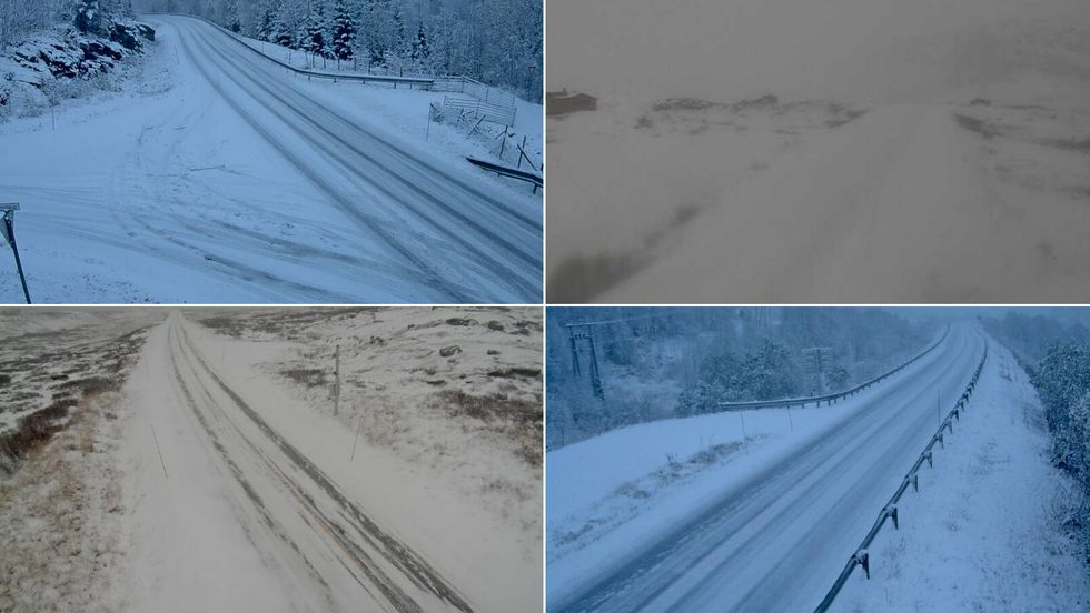 SNØFORHOLD: Både i låglandet og på fjellovergangane er vakna ein til snø tysdag morgon. Her frå Indre Hafslo, Årdal-Tyin, Hemsedalsfjellet og Frudalen.