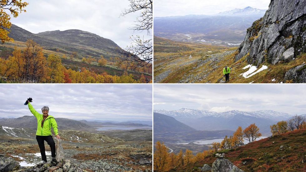 HØGFJELELT: Ein skal ikkje kimsa av ein hausttur på Filefjell.