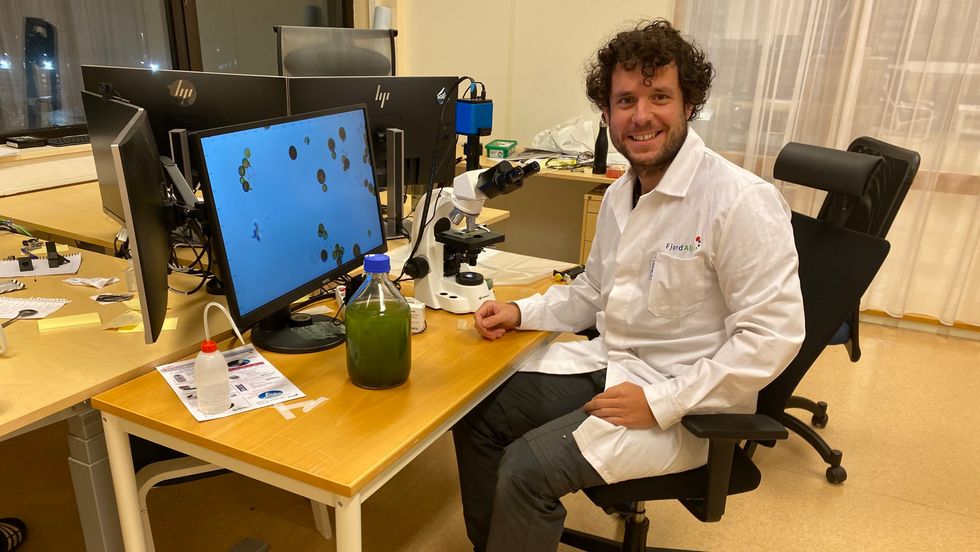 I MIKROSKOPET: Javier Giraldo studerer mikroalgar i mikroskopet.