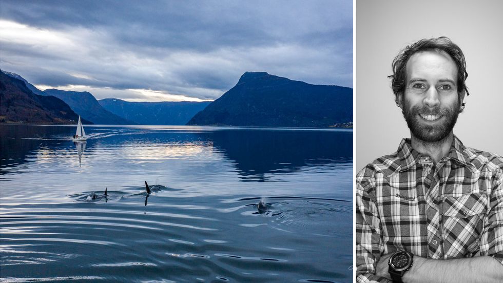 SPEKKHOGGAR: Tore Friele Lie fanga spekkhoggarane i Lustrafjorden både på film og med bilder.