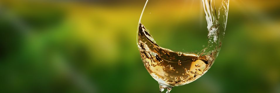 Smak 9 viner fra en av Rheingaus mest anerkjente produsenter