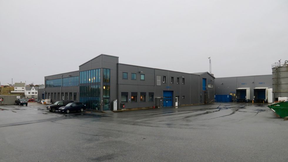 NYTT: Firda Seafood Group på Byrknesøy har fått løyve til å dyrke tang og tare i Gulen.
