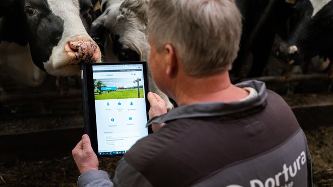 Gir innsparing på tolv millioner årlig: – En slags Tinder for ku, sier Nortura