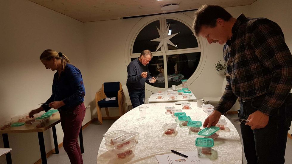 GOD AVSTAND: Dommarane måtte halde god avstand då dei forskjellige rakfisk-innslaga skulle bedømmast. Frå venstre: Brita Einemo Zwart, Henry Gram og Kjell Olav Cock.