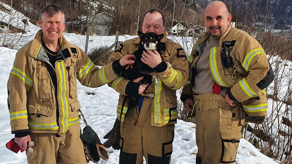 Geir Ove Sva, Nils Espeseter og Leidulf Øyre med hunden etter redningsaksjonen.