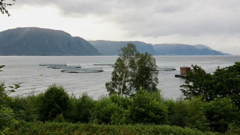 Anlegget til Osland Havbruk AS på Torvund