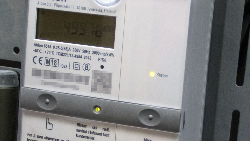 De automatiske strømmålerne bidro til store endringer i IT-satsingen til daværende Hafslund Nett, som i dag er en del av Elvia.