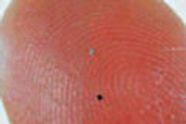 RFID-brikke i 