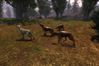 S.T.A.L.K.E.R: Shadow of Chernobyl