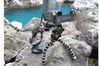 Joby Gorillapod SLR-Zoom