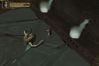 Baldur's Gate: Dark Alliance II