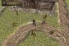 Baldur's Gate: Dark Alliance II
