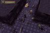 Baldur's Gate: Dark Alliance II