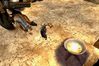 Baldur's Gate: Dark Alliance II