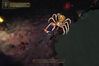 Baldur's Gate: Dark Alliance II