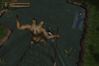 Baldur's Gate: Dark Alliance II