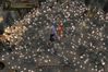 Baldur's Gate: Dark Alliance II
